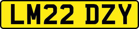LM22DZY
