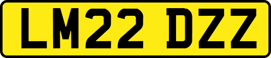 LM22DZZ