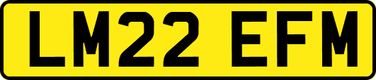 LM22EFM