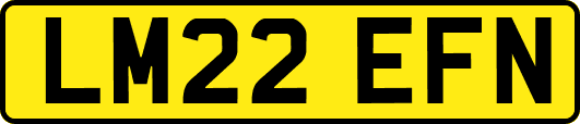 LM22EFN