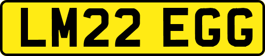 LM22EGG