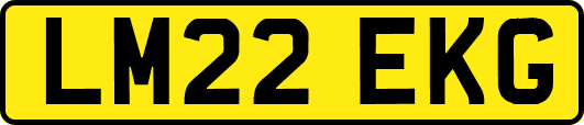 LM22EKG