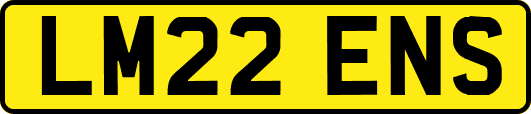 LM22ENS