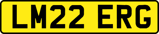 LM22ERG
