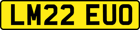 LM22EUO