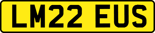 LM22EUS