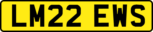 LM22EWS
