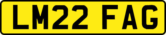 LM22FAG