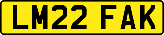 LM22FAK