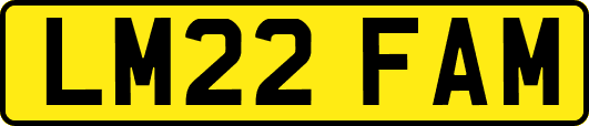 LM22FAM