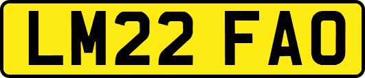 LM22FAO