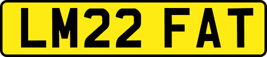 LM22FAT