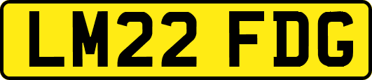 LM22FDG