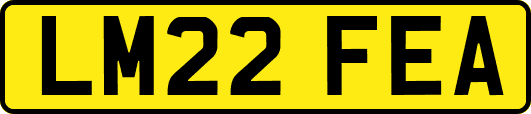 LM22FEA