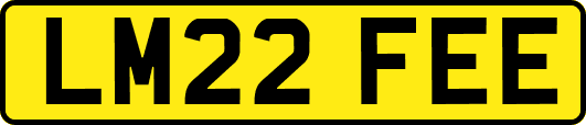 LM22FEE