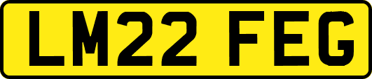 LM22FEG
