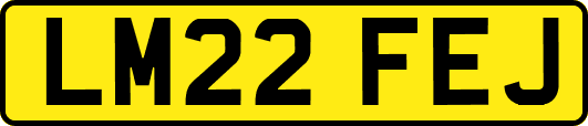 LM22FEJ