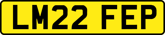 LM22FEP
