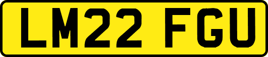 LM22FGU