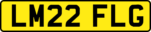 LM22FLG