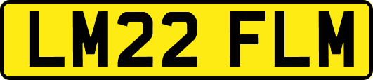 LM22FLM