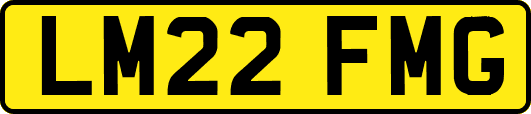 LM22FMG