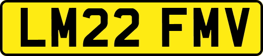 LM22FMV