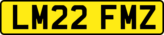 LM22FMZ