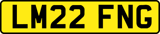 LM22FNG