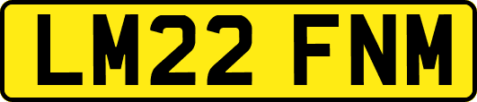 LM22FNM
