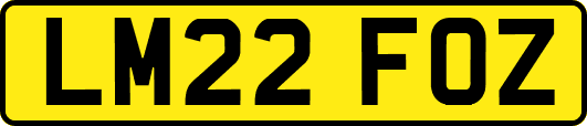 LM22FOZ