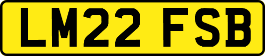 LM22FSB