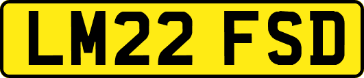 LM22FSD