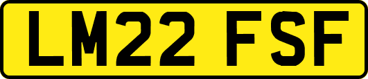 LM22FSF