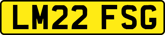 LM22FSG