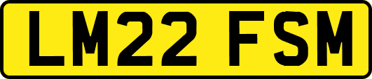 LM22FSM