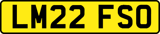 LM22FSO