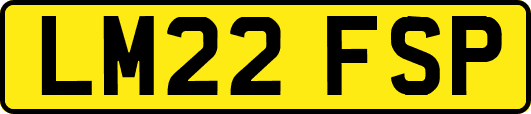LM22FSP