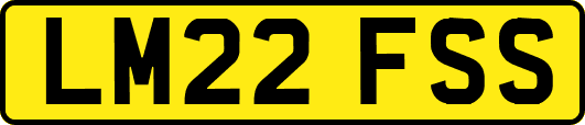 LM22FSS