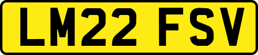 LM22FSV