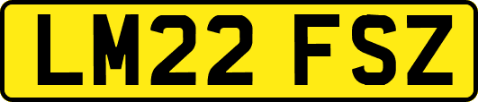 LM22FSZ