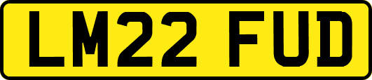 LM22FUD