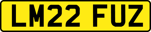 LM22FUZ