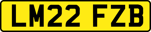LM22FZB