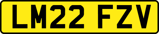 LM22FZV