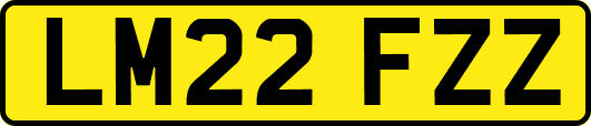 LM22FZZ