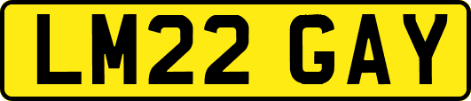 LM22GAY