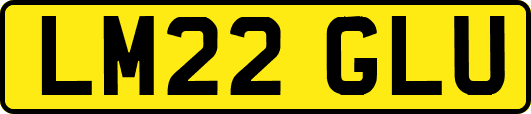 LM22GLU