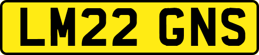 LM22GNS