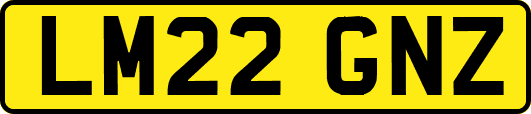 LM22GNZ
